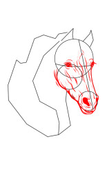 How to draw a horse head - Step 5