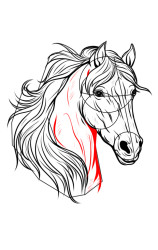 How to draw a horse head - Step 8