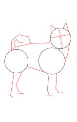 How to draw Shiba Inu - Step 2