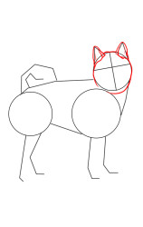 How to draw Shiba Inu - Step 3
