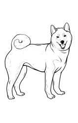 How to draw Shiba Inu - Step 9
