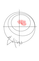 How to draw a peony flower - Step 4
