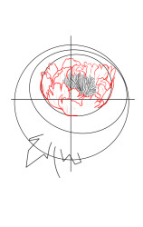 How to draw a peony flower - Step 5