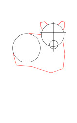 step by step how to draw a tiger - Step 2
