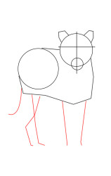 step by step how to draw a tiger - Step 3