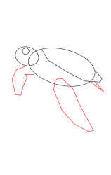 Step by step how to draw a turtle - Step 3