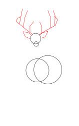 How to draw a elk - Step 2