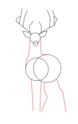 How to draw a elk - Step 3