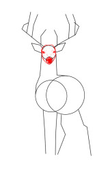 How to draw a elk - Step 4