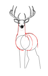 How to draw a elk - Step 7