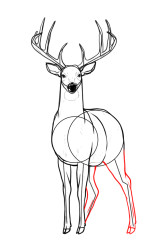 How to draw a elk - Step 9