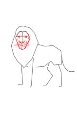 How to draw a lion easy - Step 3