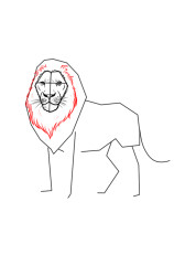 How to draw a lion easy - Step 4