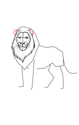 How to draw a lion easy - Step 5