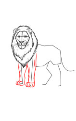 How to draw a lion easy - Step 7