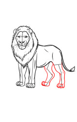How to draw a lion easy - Step 9