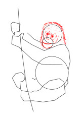 How to draw a orangutan - Step 3