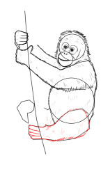 How to draw a orangutan - Step 7
