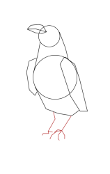 How to draw a crow - Step 5