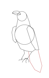 How to draw a crow - Step 6
