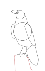 How to draw a crow - Step 7