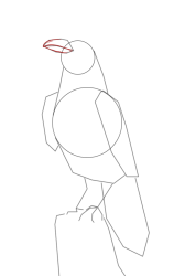 How to draw a crow - Step 8