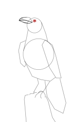 How to draw a crow - Step 9