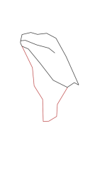 How to draw Green iguana - Step 2