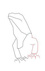 How to draw Green iguana - Step 4