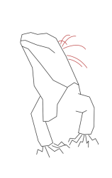 How to draw Green iguana - Step 5