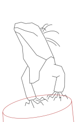 How to draw Green iguana - Step 6