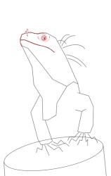 How to draw Green iguana - Step 7