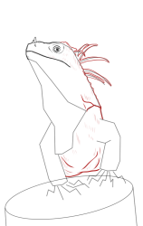 How to draw Green iguana - Step 8