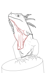 How to draw Green iguana - Step 10