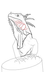 How to draw Green iguana - Step 11