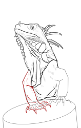 How to draw Green iguana - Step 12