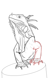How to draw Green iguana - Step 13