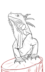 How to draw Green iguana - Step 14
