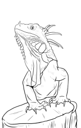 How to draw Green iguana - Step 15
