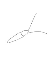 How to draw a roach - Step 1