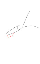 How to draw a roach - Step 2