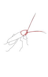 How to draw a roach - Step 4