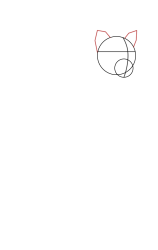How to draw a mountain lion - Step 4
