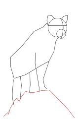 How to draw a mountain lion - Step 8