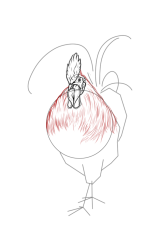 How to draw a cockerel - Step 9