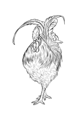 How to draw a cockerel - Step 14
