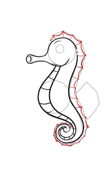 How to draw a seahorse - Step 6
