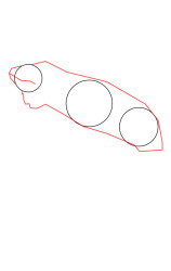 How to draw an iguana - Step 2