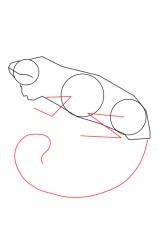 How to draw an iguana - Step 3