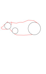 How to draw a badger - Step 2